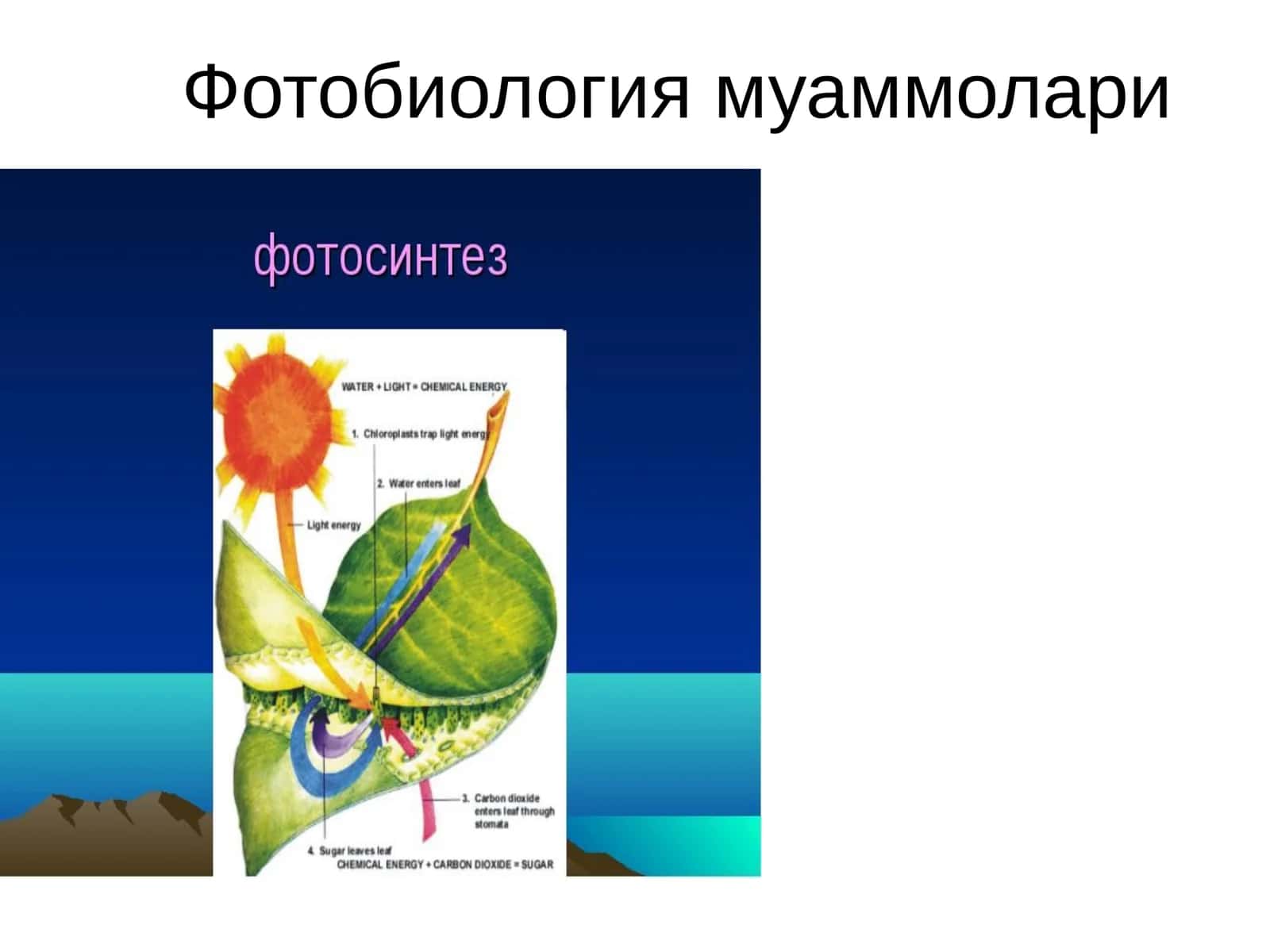 Фотобиология муаммолари 1
