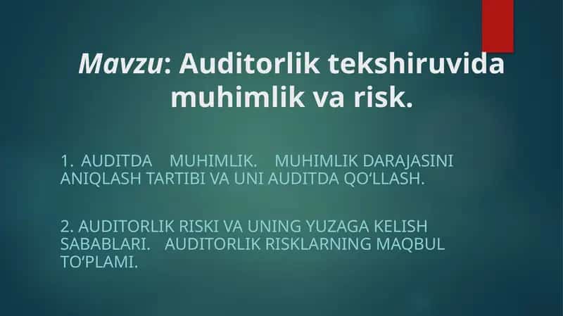 Audit faoliyati milliy standartlari 1
