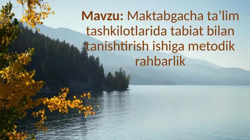 Maktabgacha ta’lim tashkilotlarida tabiat bilan tanishtirish ishiga metodik rahbarlik 1