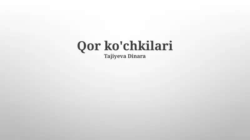 Qor ko'chkilari 1