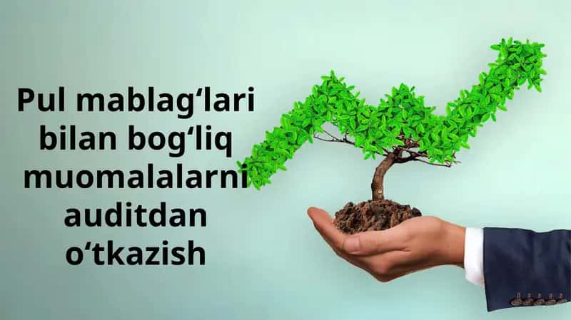 Pul mablag‘lari bilan bog‘liq muomalalarni auditdan o‘tkazish 1