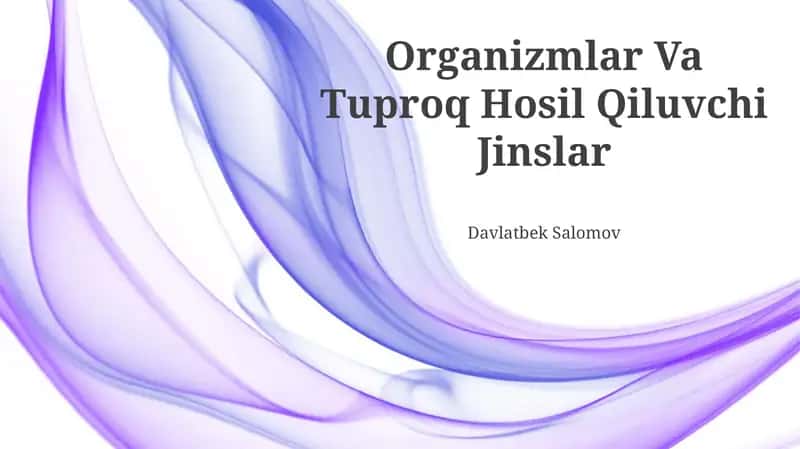 Organizmlar Va Tuproq Hosil Qiluvchi Jinslar 1