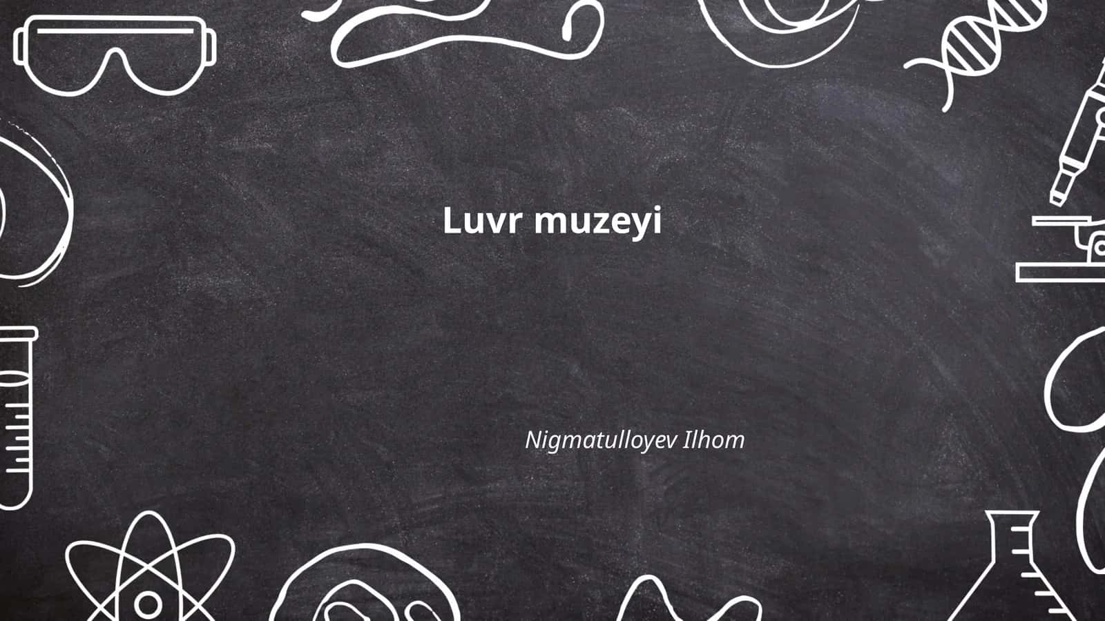 Luvr muzeyi 1