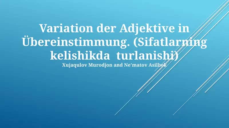 Variation der Adjektive in Übereinstimmung 1