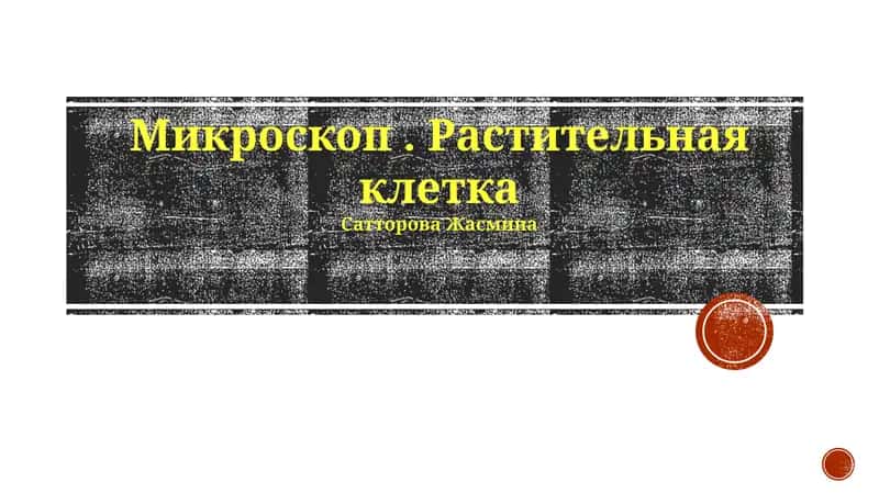 Растительная клетка 1