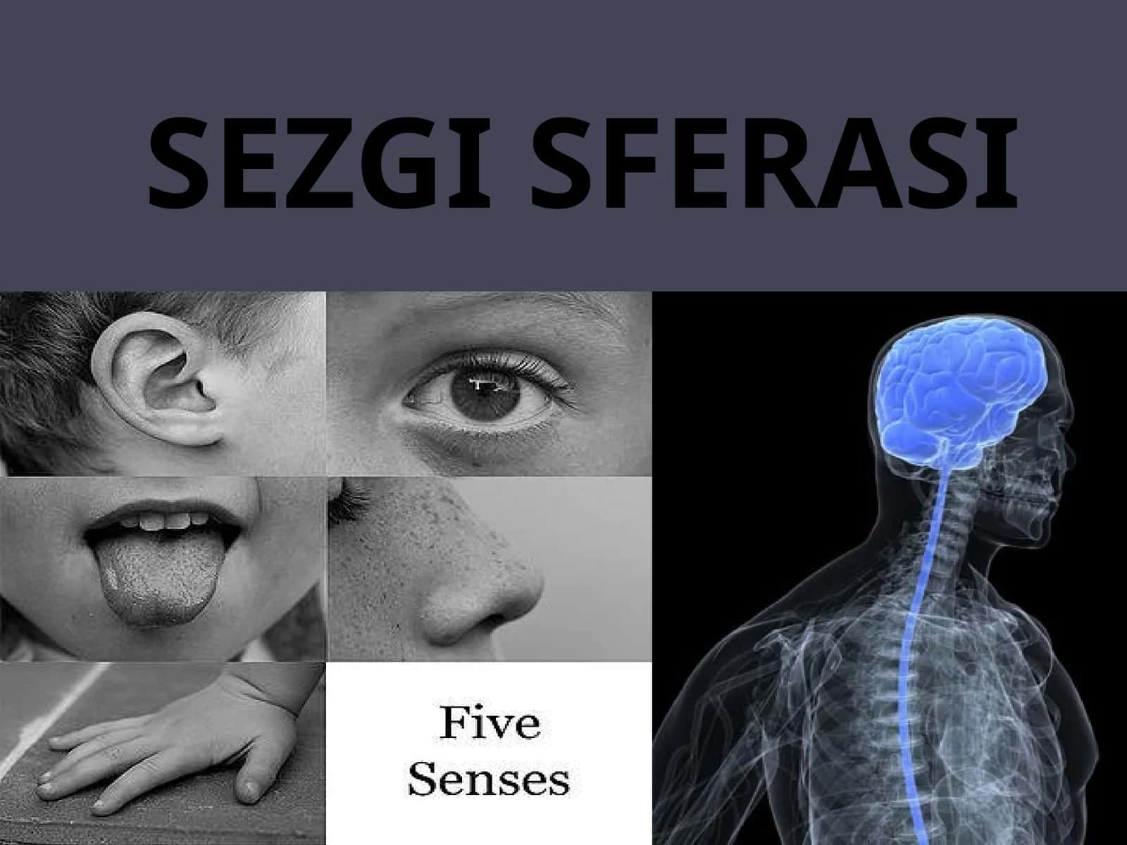 SEZGI SFERASI 1