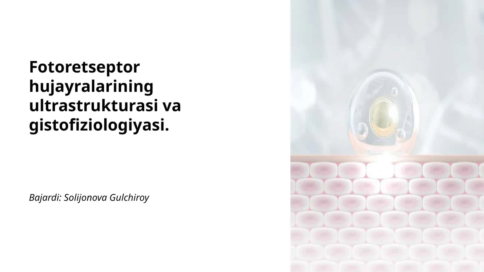 Fotoretseptor hujayralarining ultrastrukturasi va gistofiziologiyasi 1