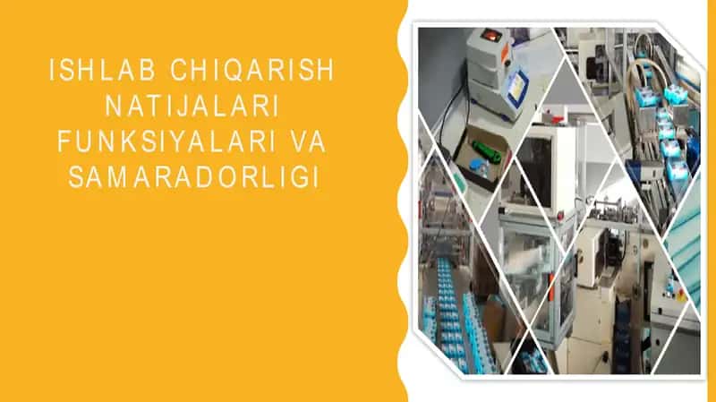 Ishlab chiqarish natijalari funksiyalari va samaradorligi 1