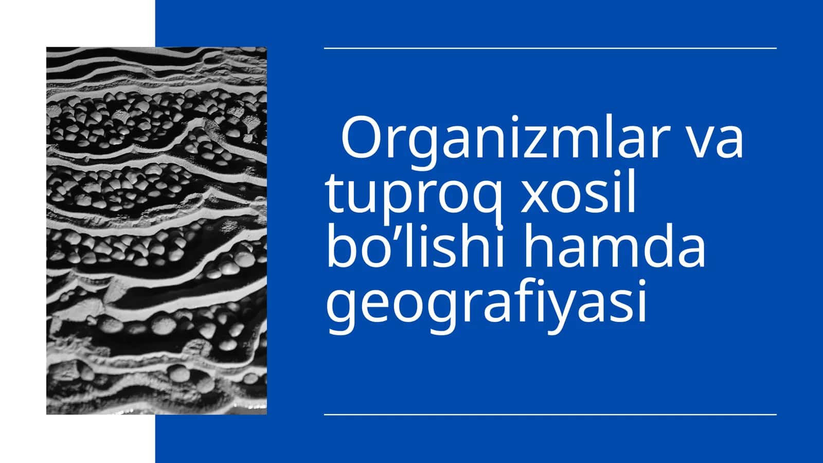 Organizmlar va tuproq hosil bo‘lishi hamda geografiyasi 1