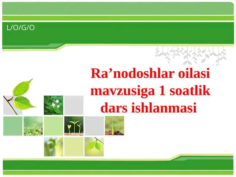 Ra’nodoshlar oilasi mavzusiga 1 soatlik dars ishlanmasi 1