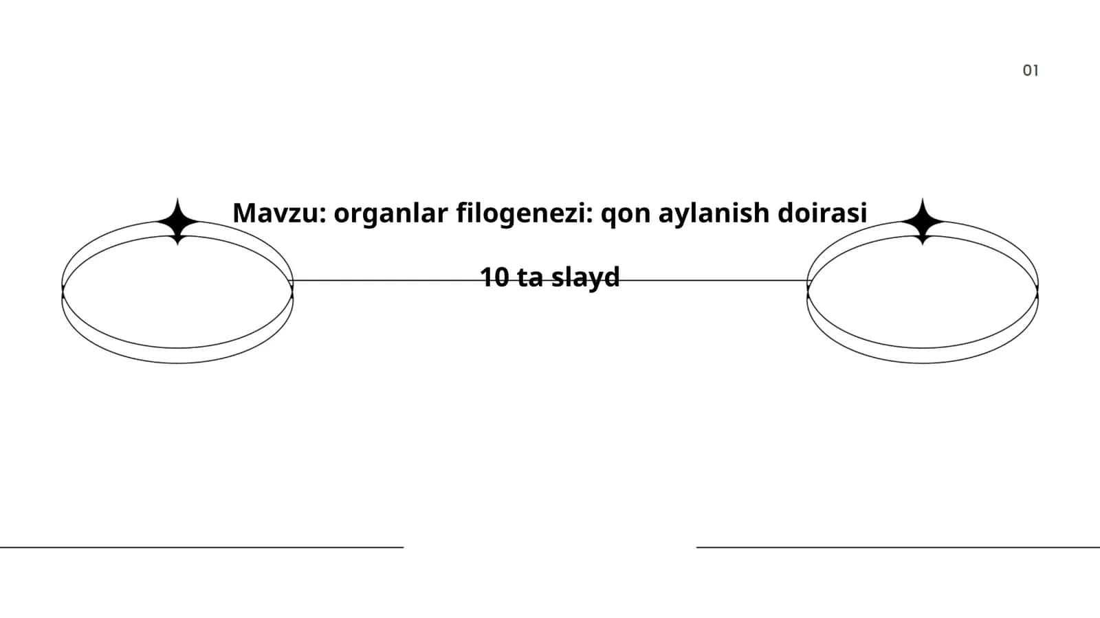 Organlar filogenezi: qon aylanish doirasi 1