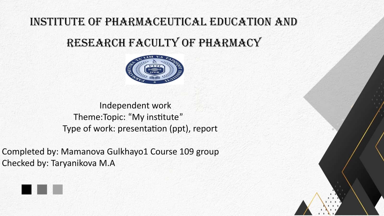 "My Institute" presentation and report 1