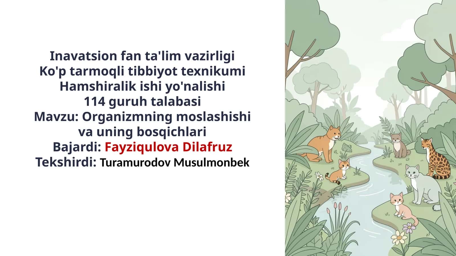 Organizmning moslashishi va uning bosqichlari 1