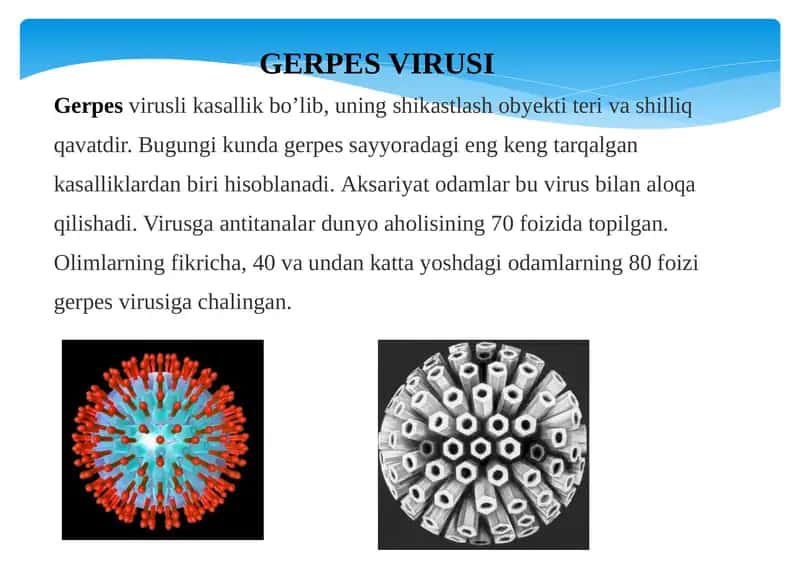 Gerpesvirusi 1
