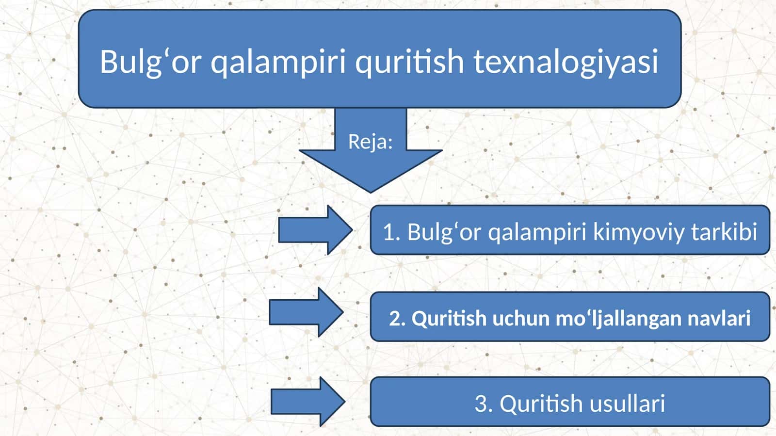 Bulgʻor qalampiri quritish texnalogiyasi 1