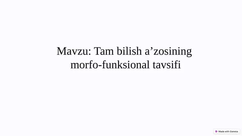 Tambilishaʼzosining morfo-funksionaltavsifi 1