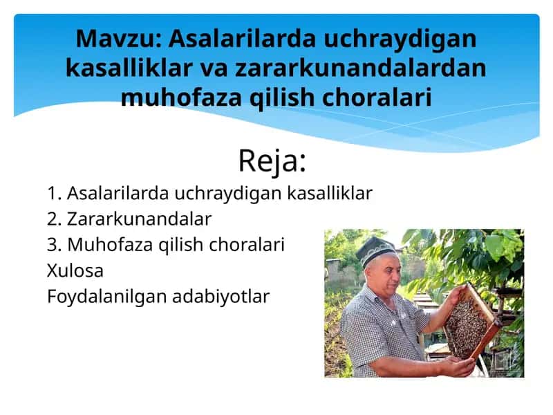 Asalarilarda uchraydigan kasalliklar va zararkunandalardan muhofaza qilish choralari 1