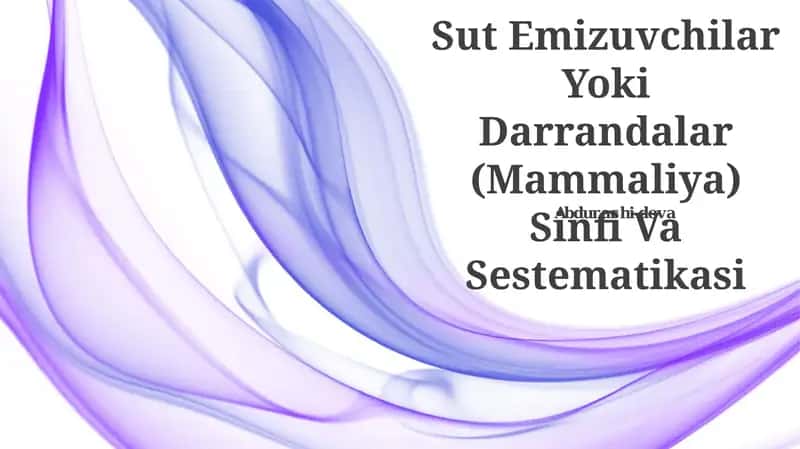 Sut Emizuvchilar Yoki Darrandalar (Mammaliya) Sinfi Va Sestematikasi 1