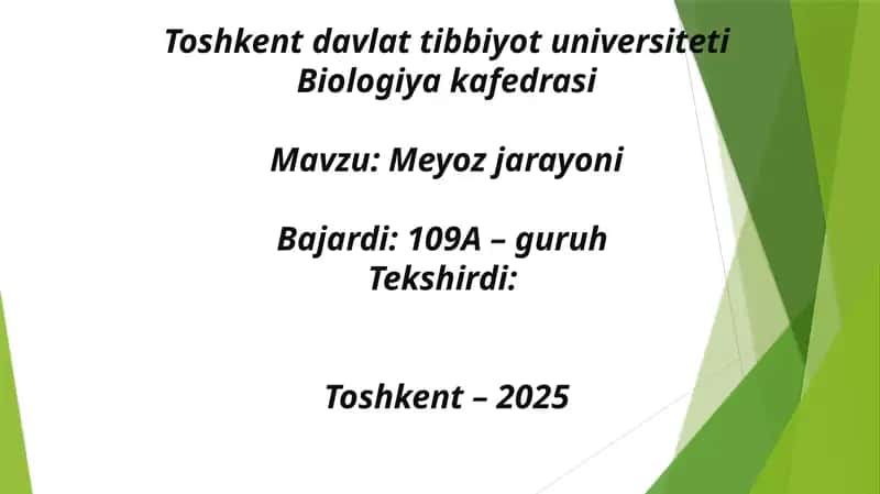 Meyoz jarayoni 1