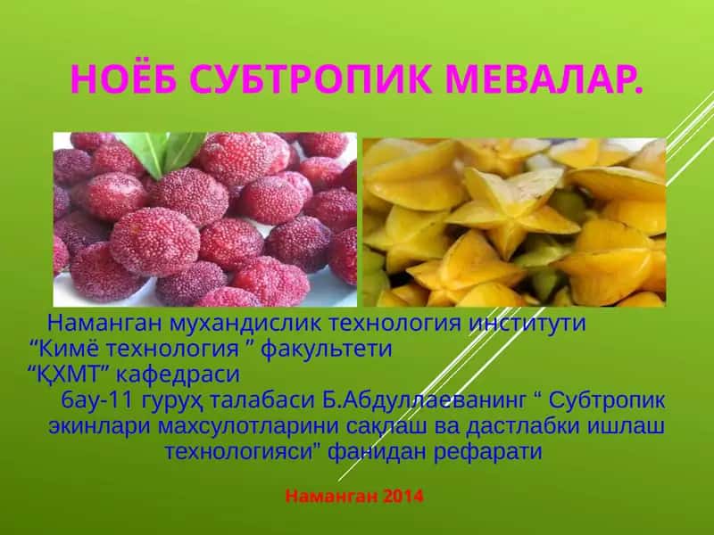 Субтропик экинлари махсулотларини сақлаш ва дастлабки ишлаш технологияси 1
