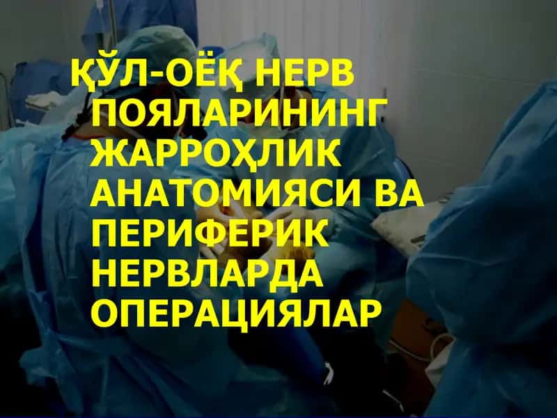 ҚЎЛ-ОЁҚНЕРВ ПОЯЛАРИНИНГ ЖАРРОҲЛИК АНАТОМИЯСИ ВА ПЕРИФЕРИК НЕРВЛАРДА ОПЕРАЦИЯЛАР 1