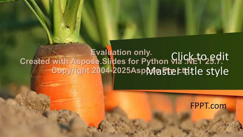 Presentation Templates 1