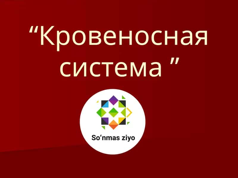 Кровеносная система 1