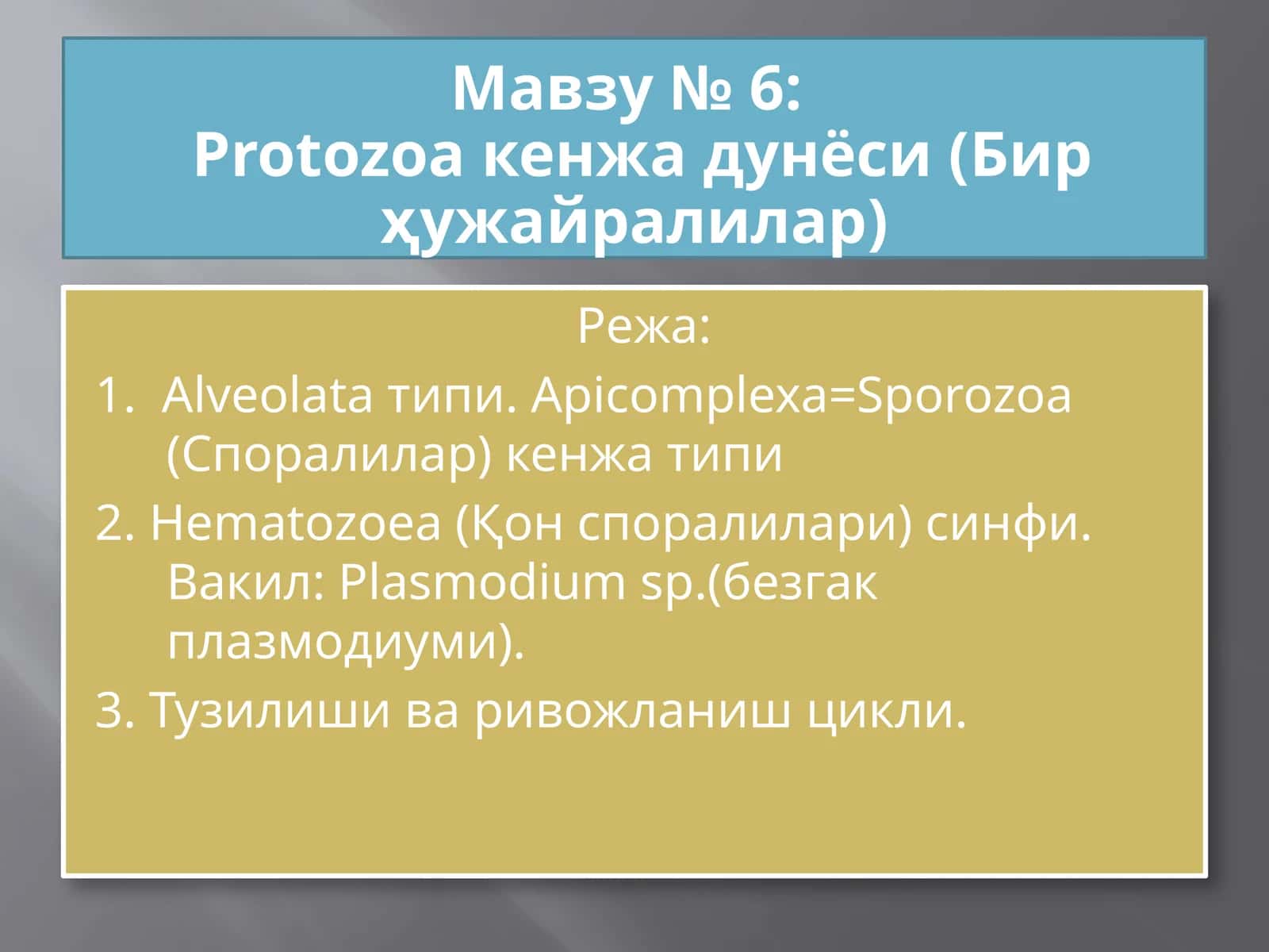 Protozoa кенжа дунёси (Бир ҳужайралилар) 1