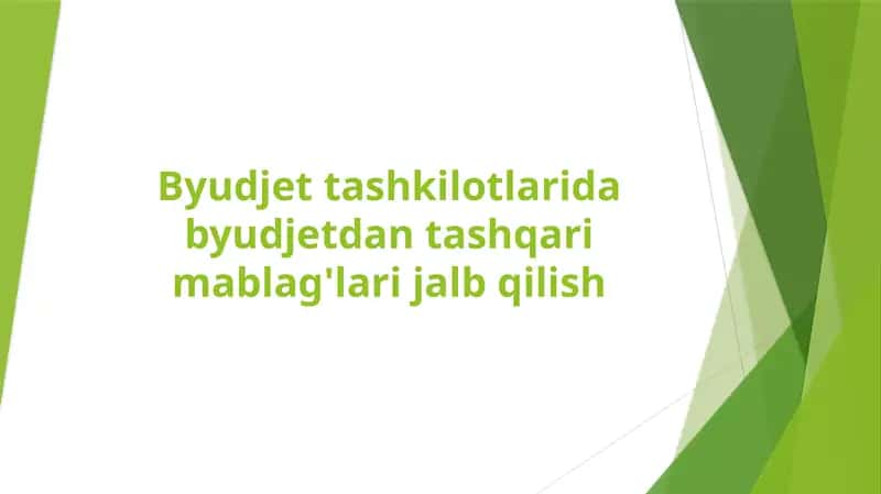 Byudjet tashkilotlarida byudjetdan tashqari mablag'lari jalb qilish 1