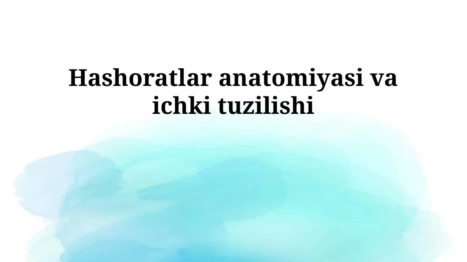 Hashoratlar anatomiyasi va ichki tuzilishi 1
