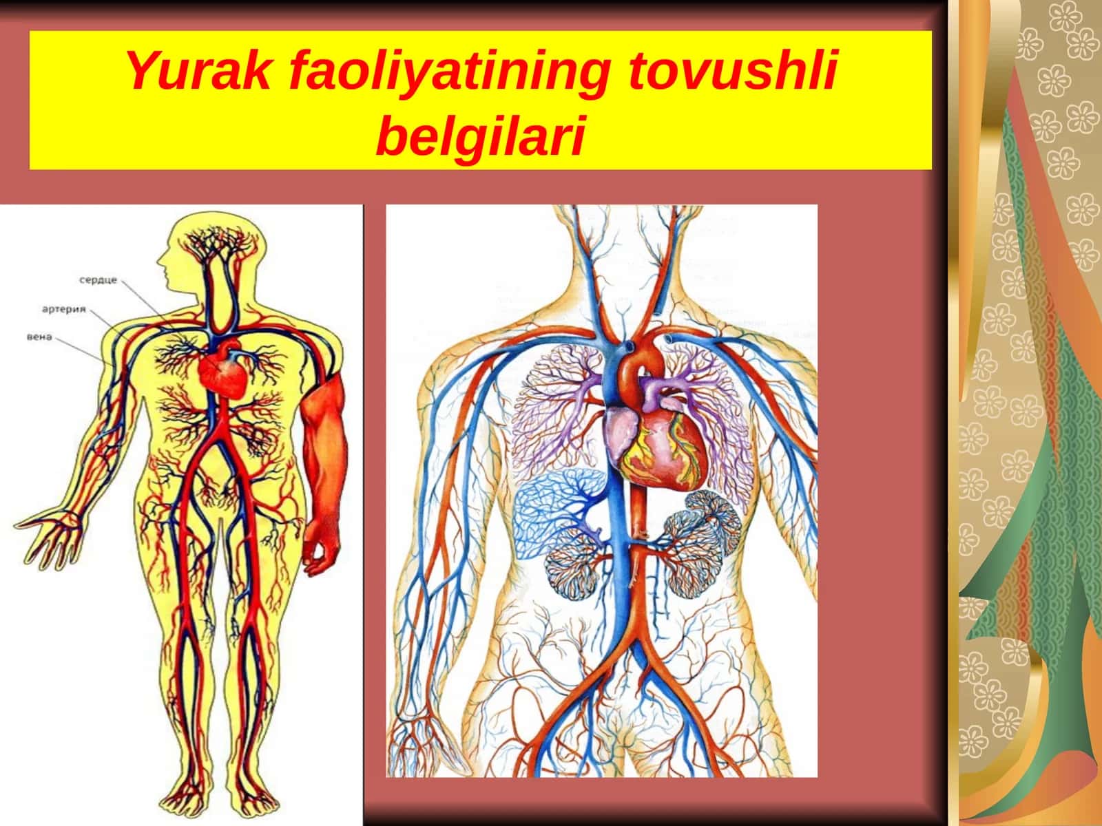 Yurak faoliyatining tovushli belgilari 1