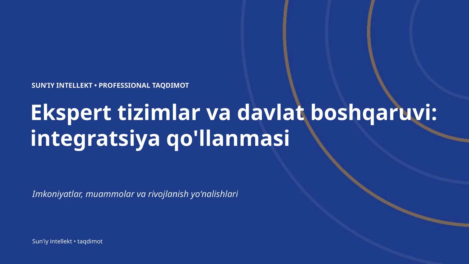 Ekspert tizimlar va davlat boshqaruvi: integratsiya qo'llanmasi 1