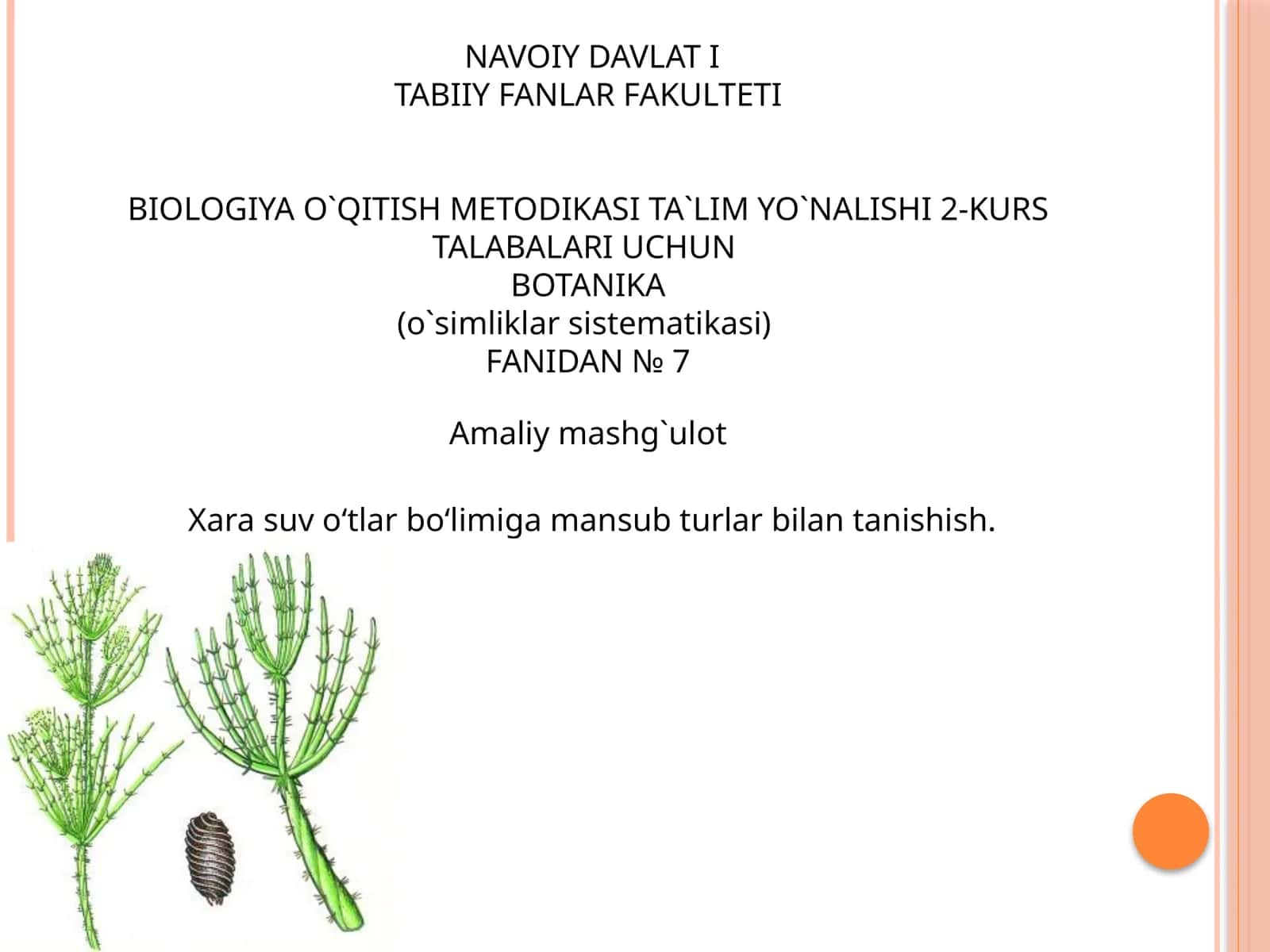 BIOLOGIYA O`QITISH METODIKASI TA`LIM YO`NALISHI 2-KURS TALABALARI UCHUN 1