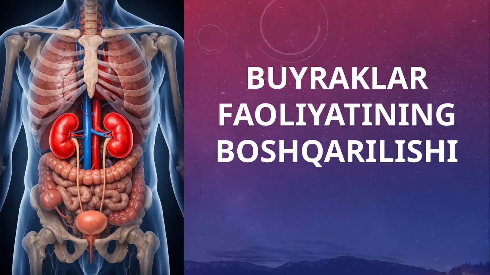 Buyraklar faoliyatining boshqarilishi 1