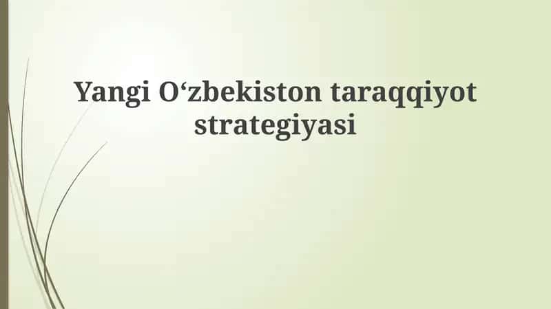 Yangi Oʻzbekiston taraqqiyot strategiyasi 1