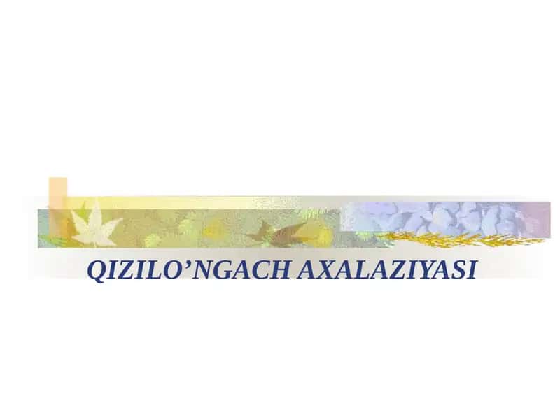 QIZILO’NGACH AXALAZIYASI 1