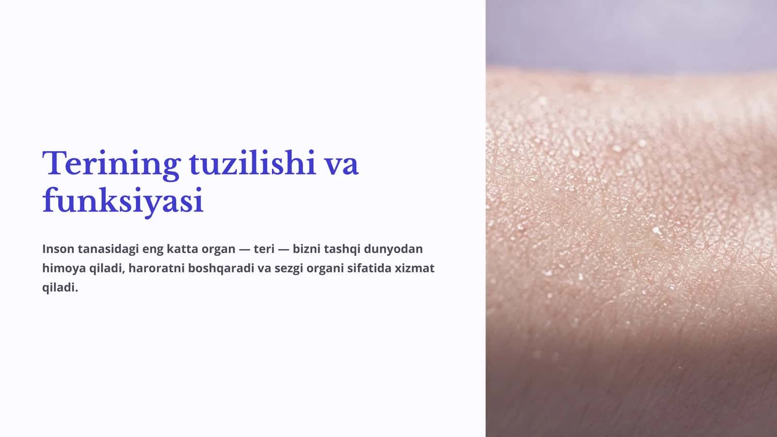 Terining tuzilishi va funksiyasi 1