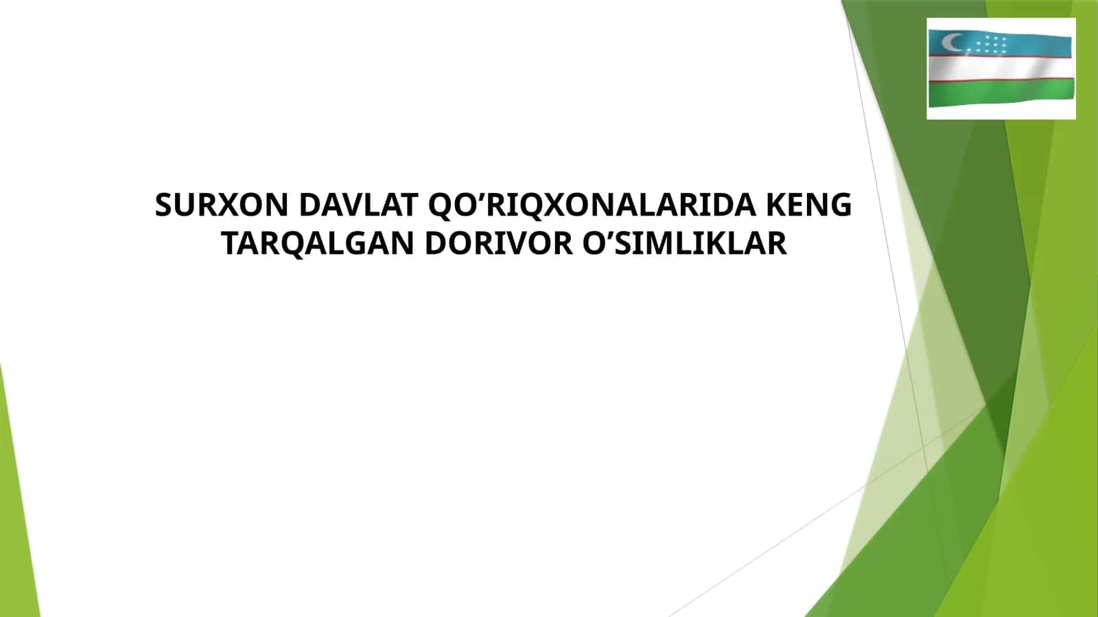 SURXON DAVLAT QO’RIQXONALARIDA KENG TARQALGAN DORIVOR O’SIMLIKLAR 1