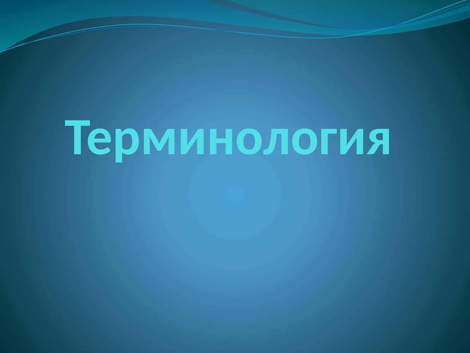 Терминология 1