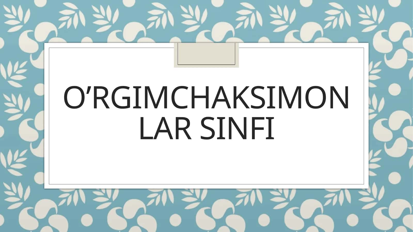O’rgimchaksimonlar sinfi 1