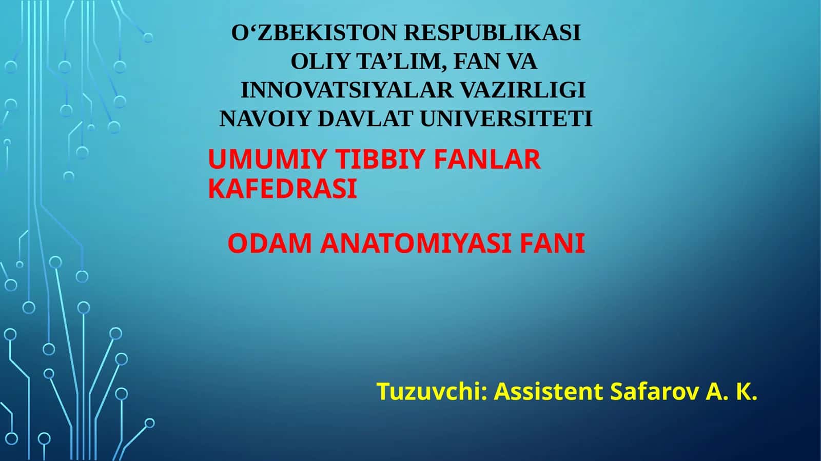 Siydik a’zolari. Siydik a’zolari funksional anatomiyasi 1