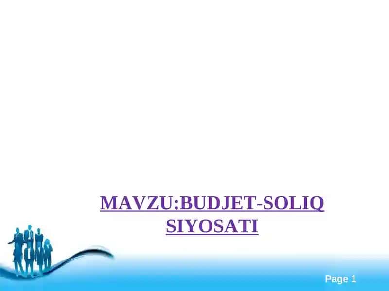 BUDJET-SOLIQ SIYOSATI