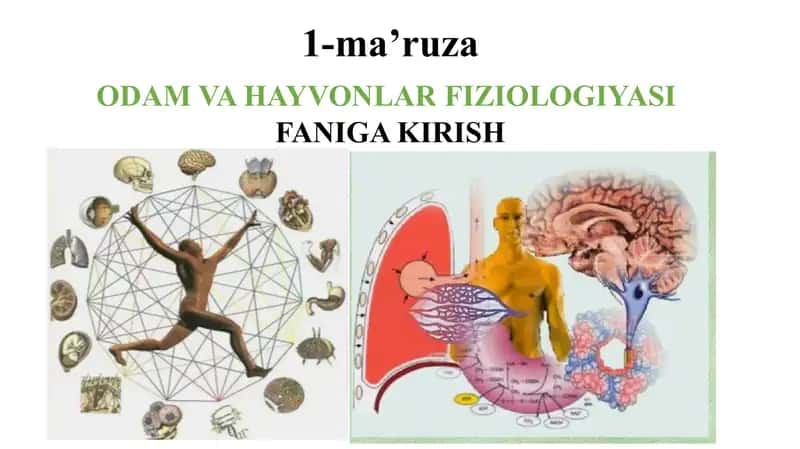 “Odam va hayvonlar fiziologiyasi” faniga kirish. 1