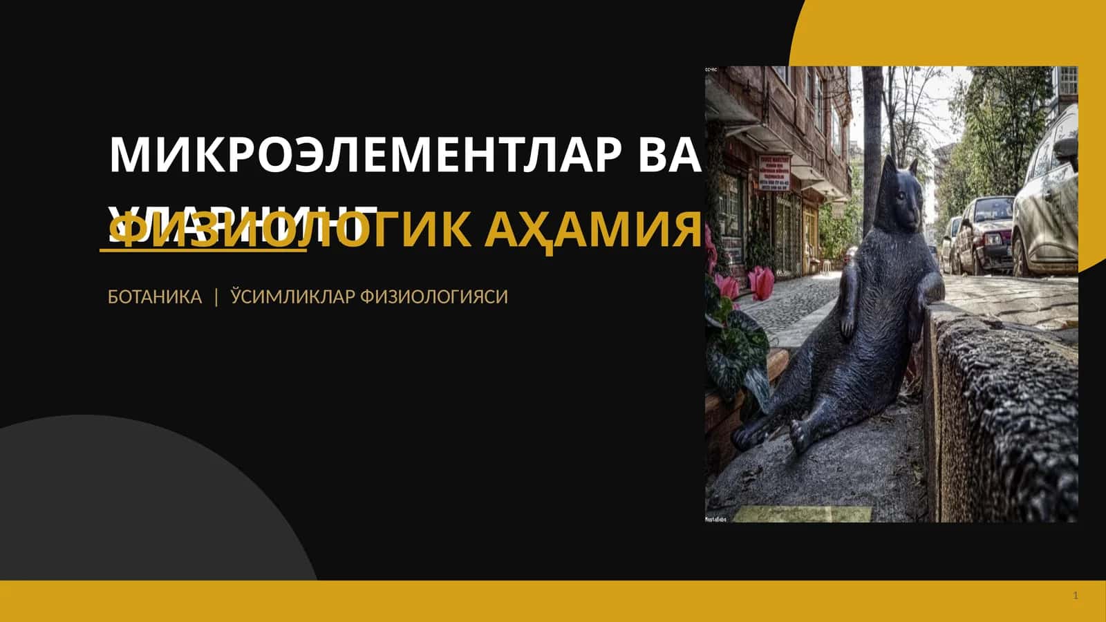 МИКРОЭЛЕМЕНТЛАР ВА УЛАРНИНГ ФИЗИОЛОГИК АҲАМИЯТИ 1