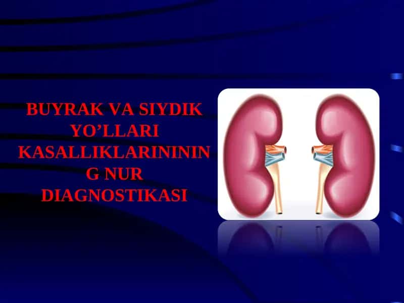 BUYRAK VA SIYDIK YO’LLARI KASALLIKLARININING NUR DIAGNOSTIKASI 1