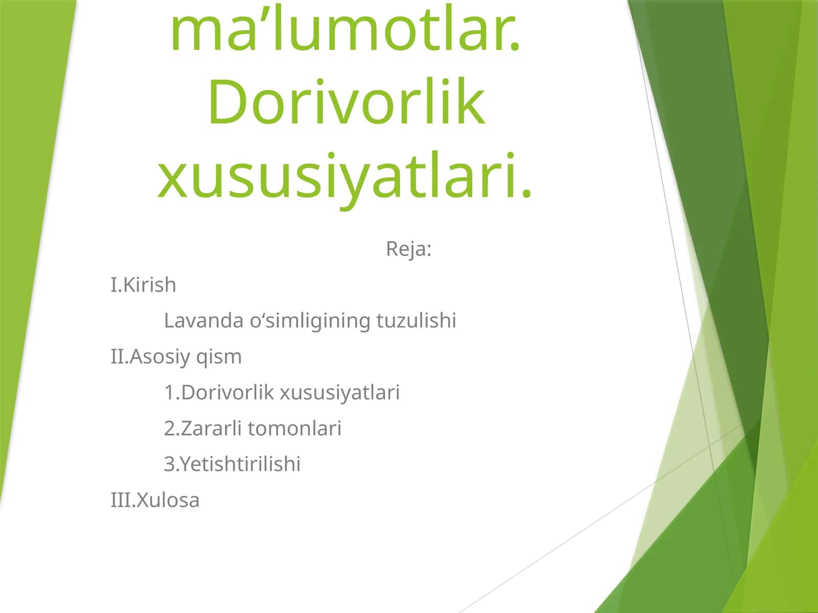 Lavanda oʻsimligi haqida maʼlumotlar 1