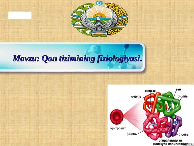 Qon tizimining fiziologiyasi 1
