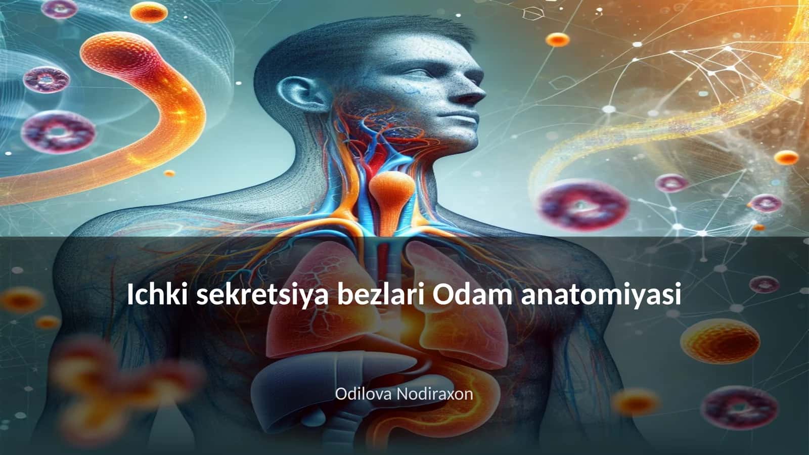 Ichki sekretsiya bezlari Odam anatomiyasi 1