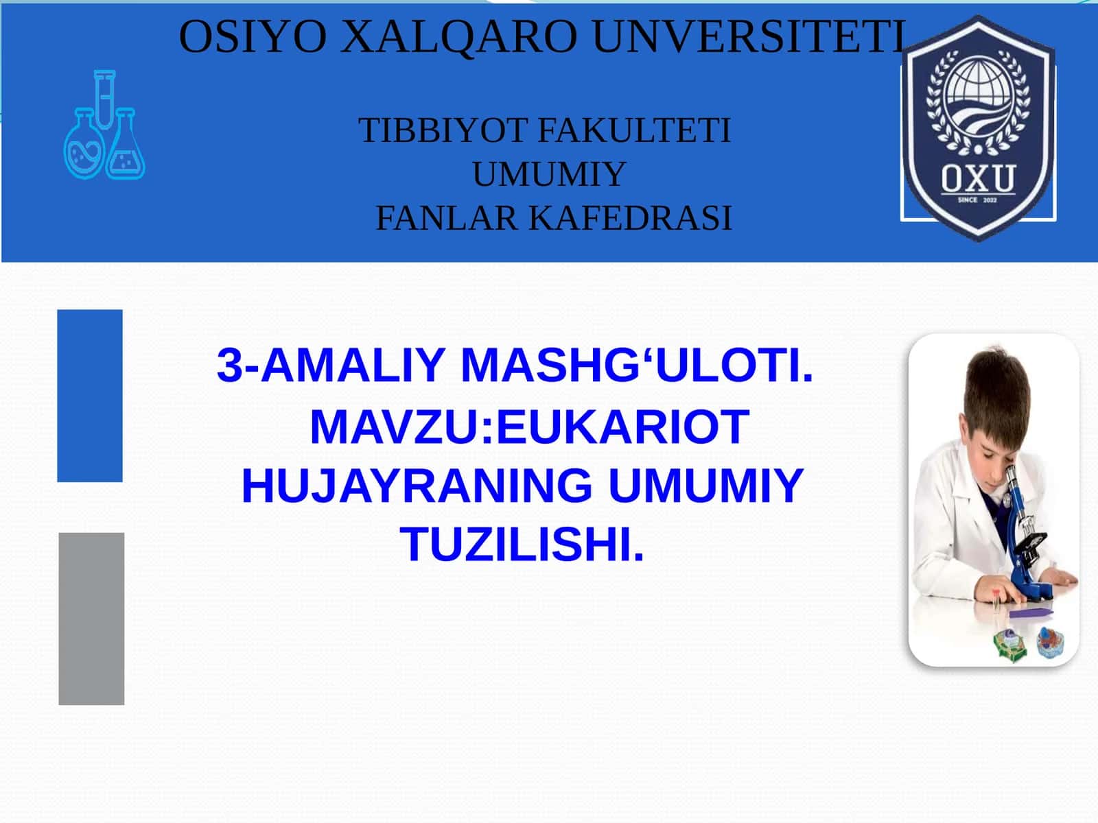 Eukariot Hujayraning Umumiy Tuzilishi 1
