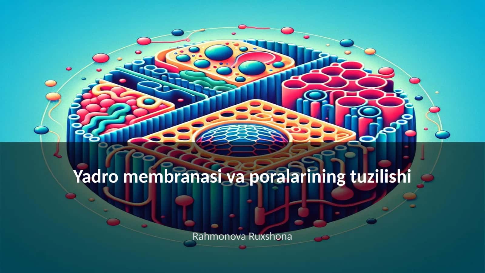 Yadro membranasi va poralarining tuzilishi 1